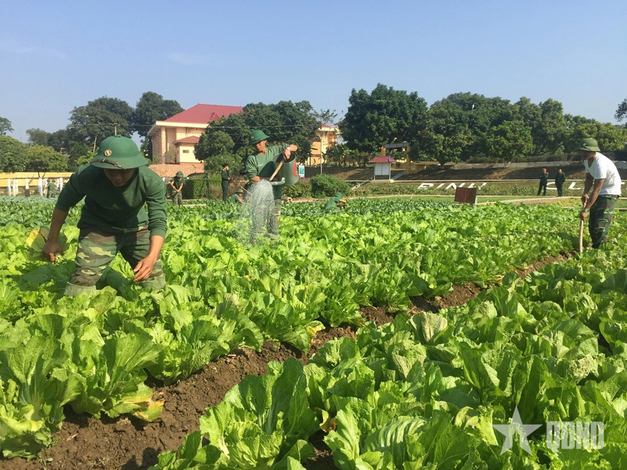 Thi đua nâng cao hiệu quả công tác bảo đảm, phục vụ     